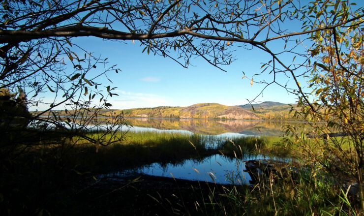 RS4376_Burns-Lake---Framed-with-Trees.jpg